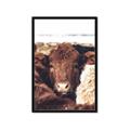 Picture of Snuggled Highland _GroupedProduct_Rectangle_Portrait_Photography _GroupedProduct_Rectangle_Portrait_Framed_Matted_