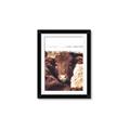 Picture of Snuggled Highland _GroupedProduct_Rectangle_Portrait_Photography _GroupedProduct_Rectangle_Portrait_Framed_Matted_