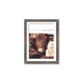 Picture of Snuggled Highland _GroupedProduct_Rectangle_Portrait_Photography _GroupedProduct_Rectangle_Portrait_Framed_Matted_