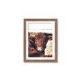 Picture of Snuggled Highland _GroupedProduct_Rectangle_Portrait_Photography _GroupedProduct_Rectangle_Portrait_Framed_Matted_