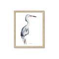 Picture of Egret I  _GroupedProduct_Rectangle_Portrait_Framed_Matted_