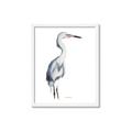 Picture of Egret I  _GroupedProduct_Rectangle_Portrait_Framed_Matted_