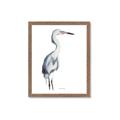 Picture of Egret I  _GroupedProduct_Rectangle_Portrait_Framed_Matted_