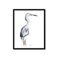Picture of Egret I  _GroupedProduct_Rectangle_Portrait_Framed_Matted_