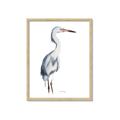 Picture of Egret I  _GroupedProduct_Rectangle_Portrait_Framed_Matted_