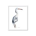 Picture of Egret I  _GroupedProduct_Rectangle_Portrait_Framed_Matted_