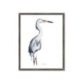 Picture of Egret I  _GroupedProduct_Rectangle_Portrait_Framed_Matted_