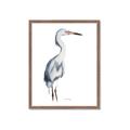 Picture of Egret I  _GroupedProduct_Rectangle_Portrait_Framed_Matted_