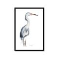Picture of Egret I  _GroupedProduct_Rectangle_Portrait_Framed_Matted_