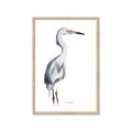 Picture of Egret I  _GroupedProduct_Rectangle_Portrait_Framed_Matted_