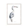 Picture of Egret I  _GroupedProduct_Rectangle_Portrait_Framed_Matted_