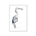Picture of Egret I  _GroupedProduct_Rectangle_Portrait_Framed_Matted_