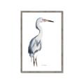 Picture of Egret I  _GroupedProduct_Rectangle_Portrait_Framed_Matted_
