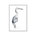 Picture of Egret I  _GroupedProduct_Rectangle_Portrait_Framed_Matted_