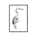 Picture of Egret I  _GroupedProduct_Rectangle_Portrait_Framed_Matted_