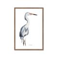 Picture of Egret I  _GroupedProduct_Rectangle_Portrait_Framed_Matted_