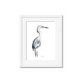 Picture of Egret I  _GroupedProduct_Rectangle_Portrait_Framed_Matted_