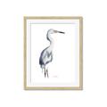 Picture of Egret I  _GroupedProduct_Rectangle_Portrait_Framed_Matted_