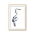 Picture of Egret I  _GroupedProduct_Rectangle_Portrait_Framed_Matted_