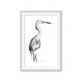 Picture of Egret I  _GroupedProduct_Rectangle_Portrait_Framed_Matted_