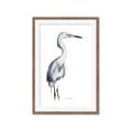 Picture of Egret I  _GroupedProduct_Rectangle_Portrait_Framed_Matted_
