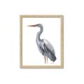 Picture of Egret II  _GroupedProduct_Rectangle_Portrait_Framed_Matted_