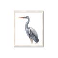 Picture of Egret II  _GroupedProduct_Rectangle_Portrait_Framed_Matted_