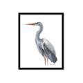 Picture of Egret II  _GroupedProduct_Rectangle_Portrait_Framed_Matted_