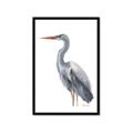 Picture of Egret II  _GroupedProduct_Rectangle_Portrait_Framed_Matted_
