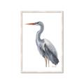 Picture of Egret II  _GroupedProduct_Rectangle_Portrait_Framed_Matted_