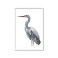 Picture of Egret II  _GroupedProduct_Rectangle_Portrait_Framed_Matted_