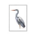 Picture of Egret II  _GroupedProduct_Rectangle_Portrait_Framed_Matted_
