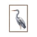 Picture of Egret II  _GroupedProduct_Rectangle_Portrait_Framed_Matted_