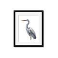 Picture of Egret II  _GroupedProduct_Rectangle_Portrait_Framed_Matted_