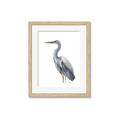 Picture of Egret II  _GroupedProduct_Rectangle_Portrait_Framed_Matted_