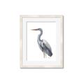 Picture of Egret II  _GroupedProduct_Rectangle_Portrait_Framed_Matted_