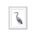 Picture of Egret II  _GroupedProduct_Rectangle_Portrait_Framed_Matted_