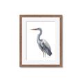 Picture of Egret II  _GroupedProduct_Rectangle_Portrait_Framed_Matted_