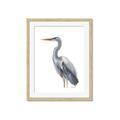 Picture of Egret II  _GroupedProduct_Rectangle_Portrait_Framed_Matted_