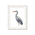 Picture of Egret II  _GroupedProduct_Rectangle_Portrait_Framed_Matted_