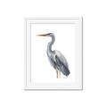 Picture of Egret II  _GroupedProduct_Rectangle_Portrait_Framed_Matted_