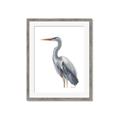Picture of Egret II  _GroupedProduct_Rectangle_Portrait_Framed_Matted_