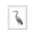 Picture of Egret II  _GroupedProduct_Rectangle_Portrait_Framed_Matted_