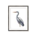 Picture of Egret II  _GroupedProduct_Rectangle_Portrait_Framed_Matted_