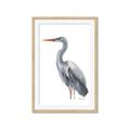 Picture of Egret II  _GroupedProduct_Rectangle_Portrait_Framed_Matted_