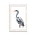 Picture of Egret II  _GroupedProduct_Rectangle_Portrait_Framed_Matted_