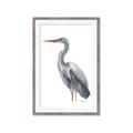 Picture of Egret II  _GroupedProduct_Rectangle_Portrait_Framed_Matted_