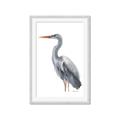 Picture of Egret II  _GroupedProduct_Rectangle_Portrait_Framed_Matted_