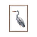 Picture of Egret II  _GroupedProduct_Rectangle_Portrait_Framed_Matted_