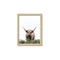 Picture of Cow on the Range _GroupedProduct_Rectangle_Portrait_Photography _GroupedProduct_Rectangle_Portrait_Framed_Matted_